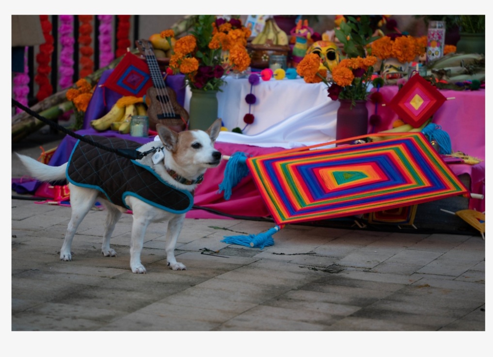 Dia de Los Muertos 7 BOK